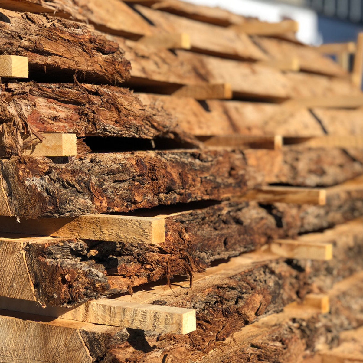 Close-up of bark-edge stickered slabs