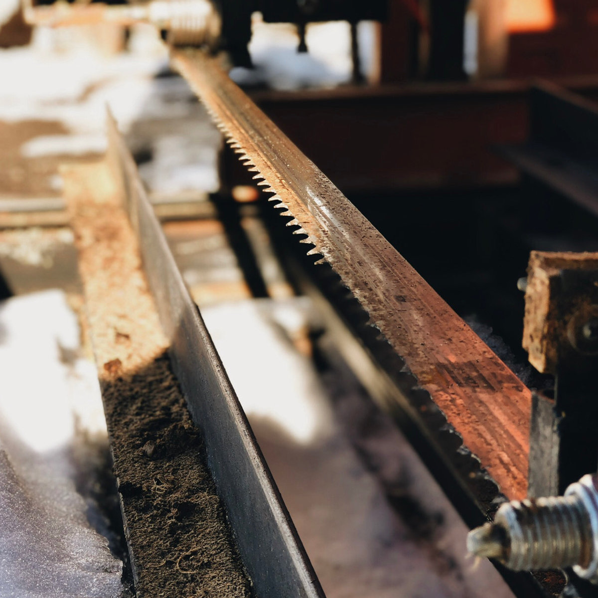 Close-up of the sawmill blade mid-cut