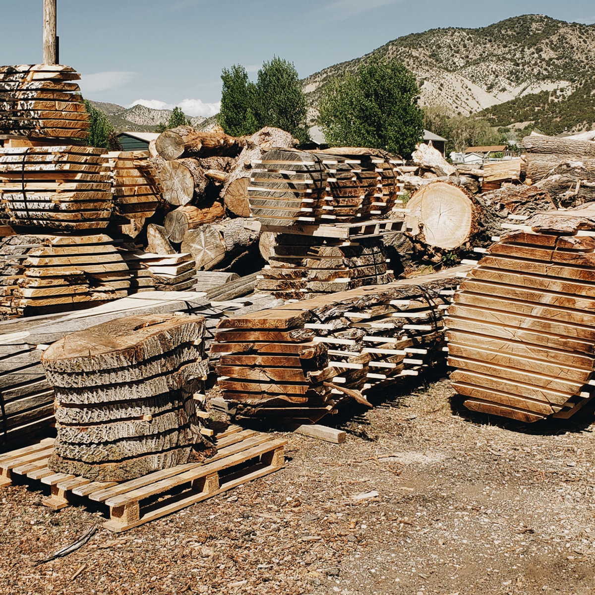 Stacks of live-edge slabs in the sawmill yard with mountains behind